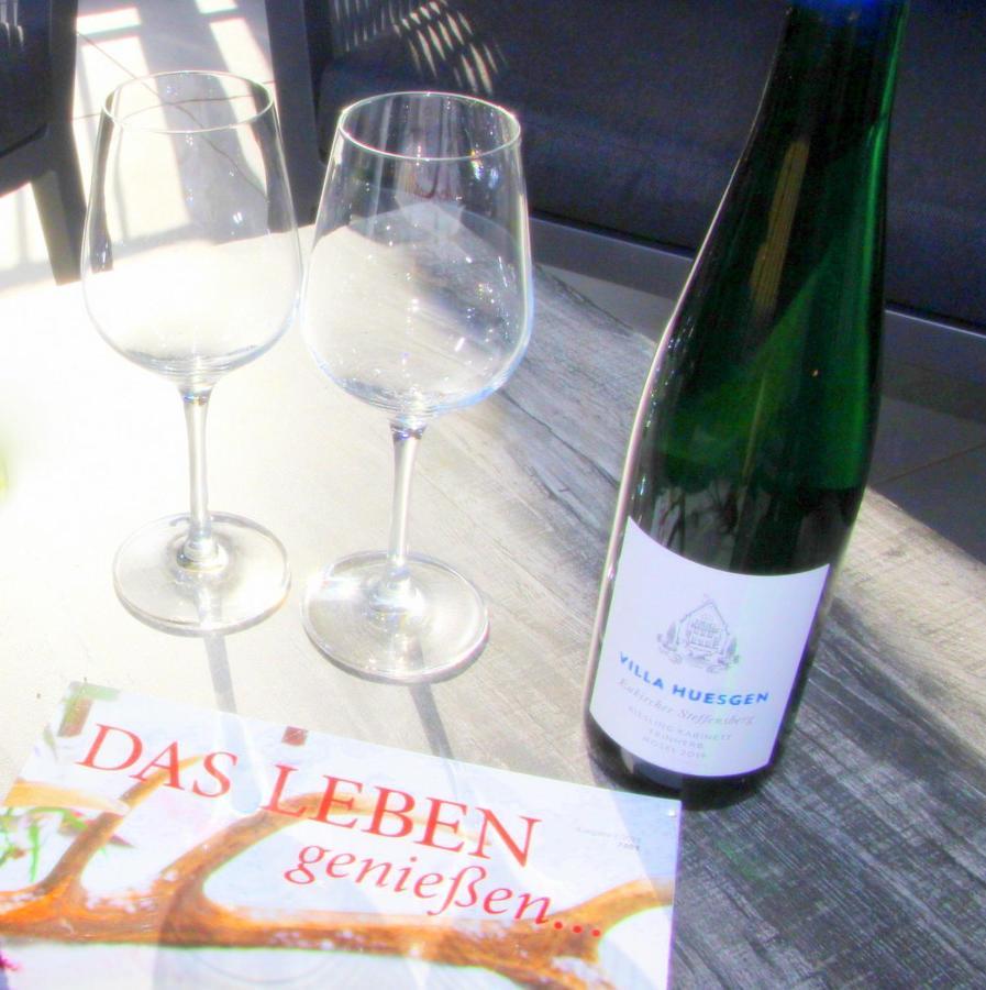 Mosel-Loggia - Luxusapartment -Terrass - Klimaanlage Traben-Trarbach Esterno foto
